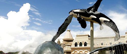 杭州品牌設計 只為給您打造“昂貴”的品牌