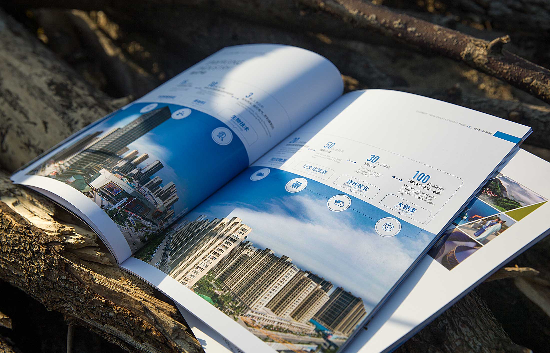 怎么判斷畫冊設(shè)計的好壞