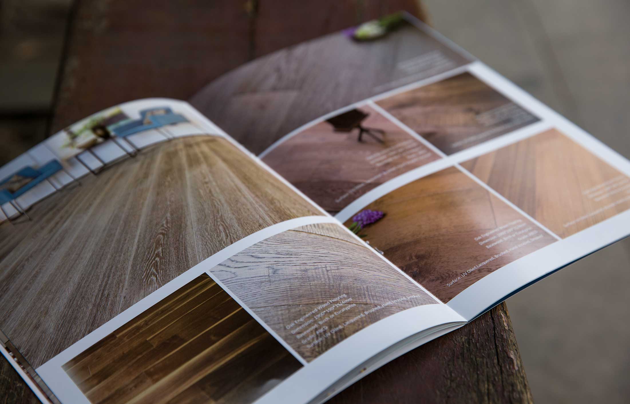 公司宣傳冊樣本設計編輯什么內容合適?